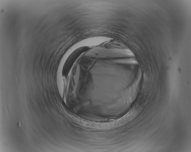 X0000068840048200605261651