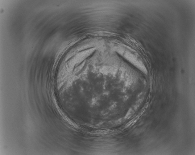 X0000068840049200605261650