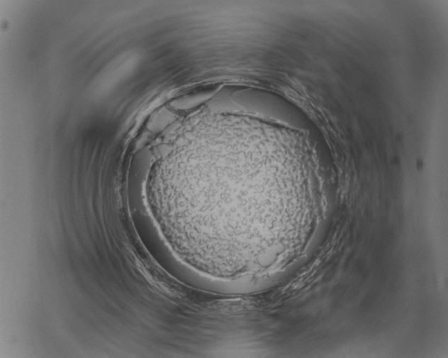 X0000068840050200605261650