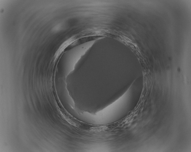 X0000068840051200605261650