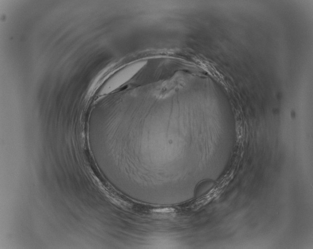 X0000068840053200605261651