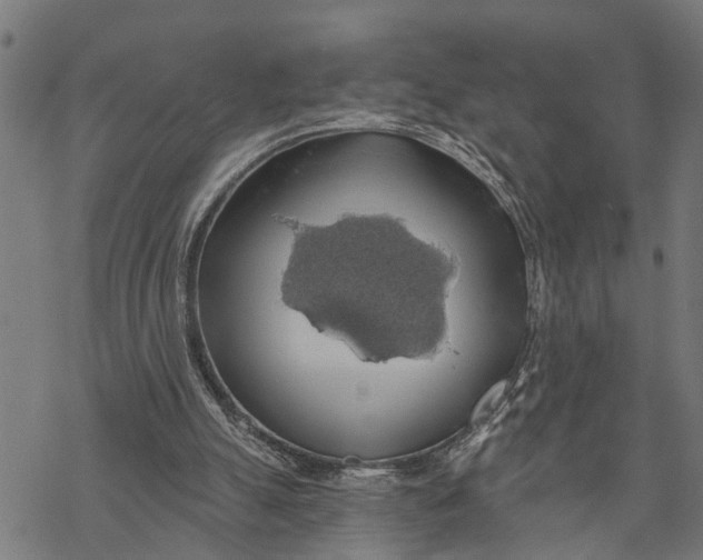 X0000068840055200605261651