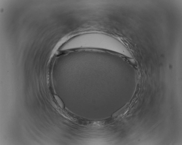 X0000068840056200605261651