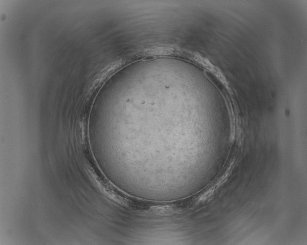 X0000068840057200605261651