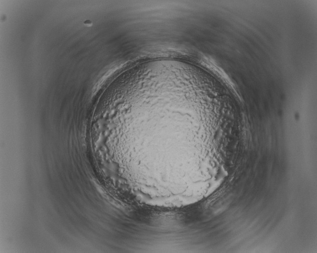 X0000068840058200605261651