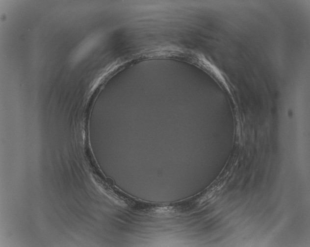 X0000068840059200605261651