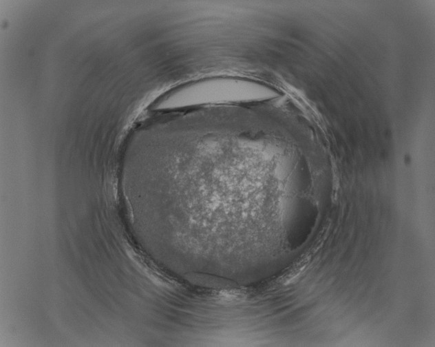 X0000068840060200605261651