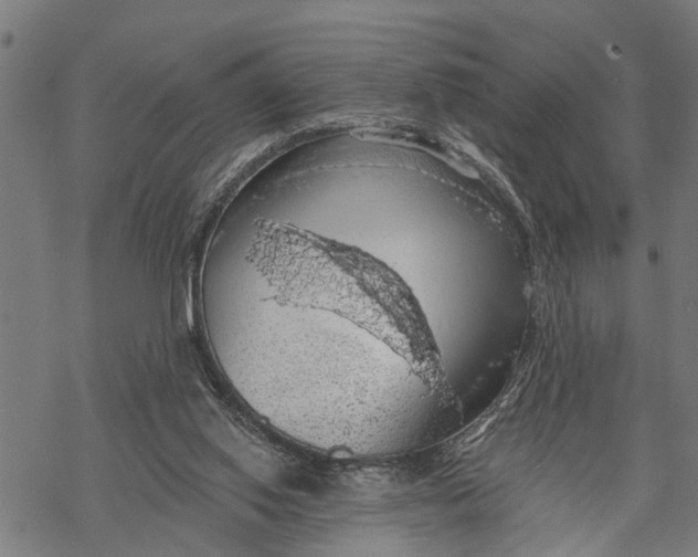 X0000068840062200605261651