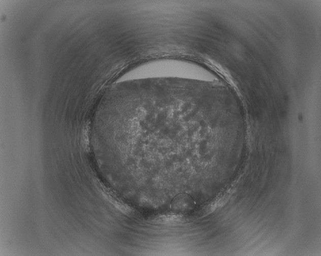 X0000068840065200605261651