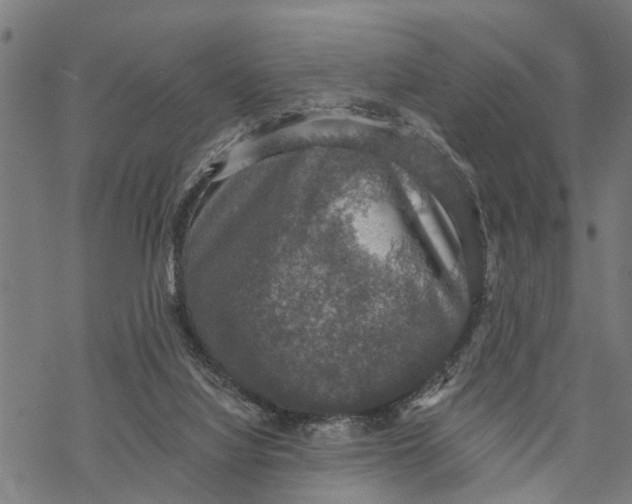 X0000068840068200605261651