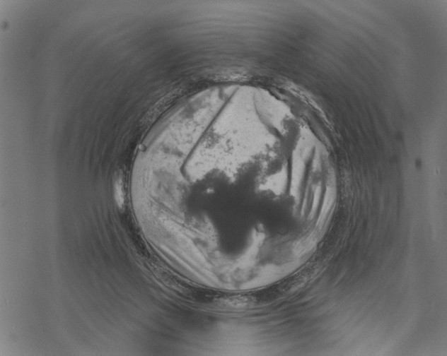 X0000068840069200605261651