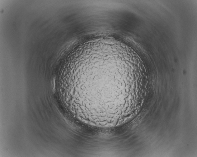 X0000068840070200605261651