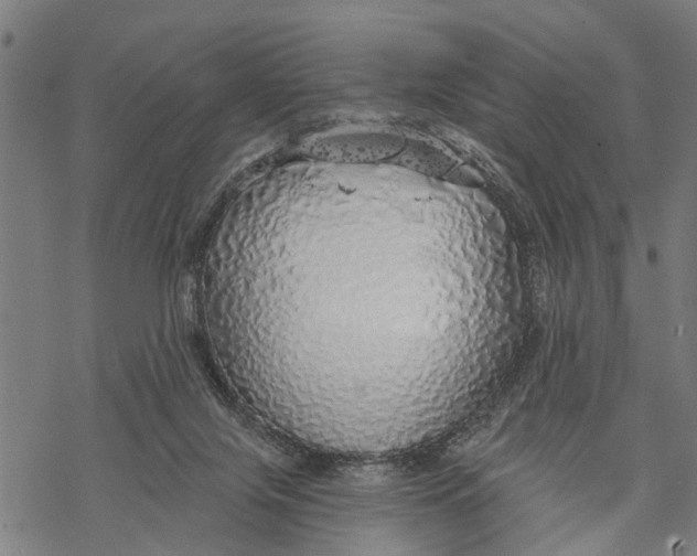 X0000068840071200605261651