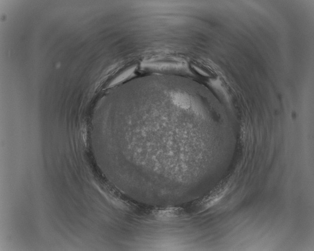 X0000068840072200605261651