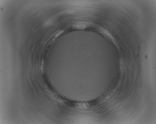 X0000068840073200605261651