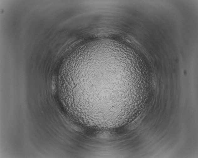 X0000068840074200605261651