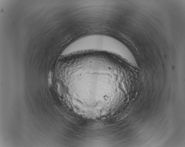 X0000068840075200605261651