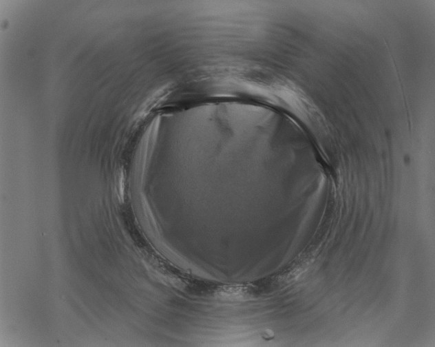 X0000068840076200605261651