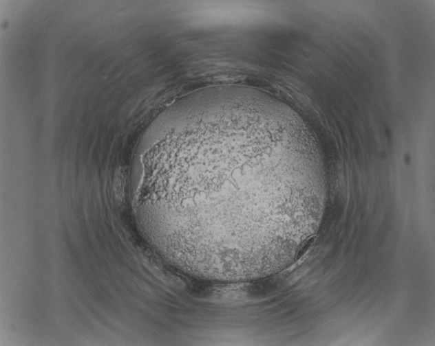 X0000068840078200605261651