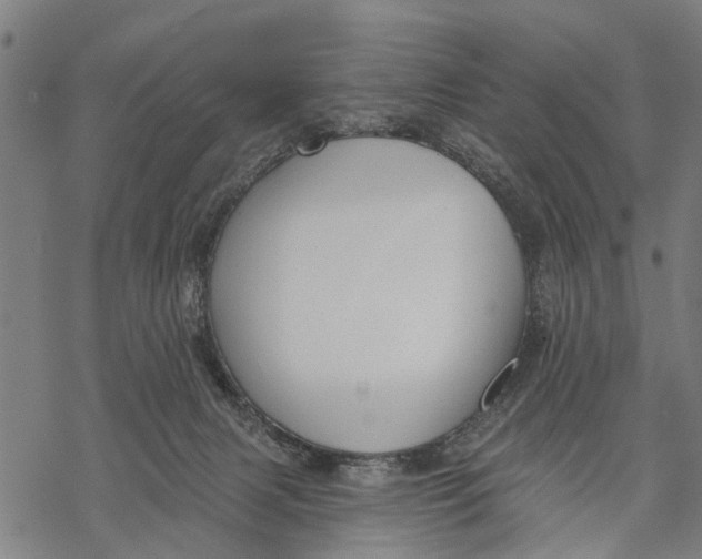 X0000068840079200605261651