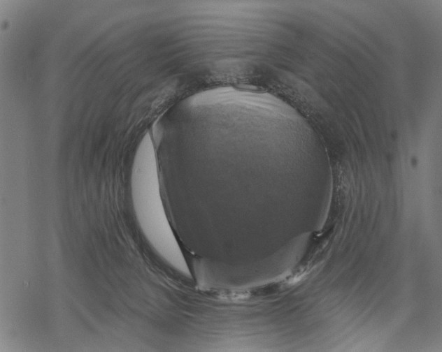 X0000068840080200605261651