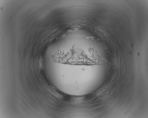 X0000068840081200605261651