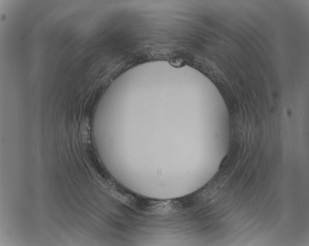 X0000068840083200605261651