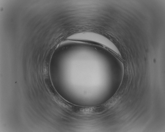 X0000068840084200605261651