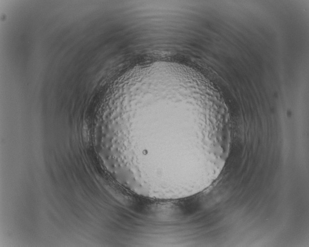 X0000068840086200605261651