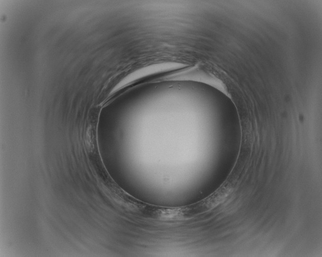 X0000068840088200605261651