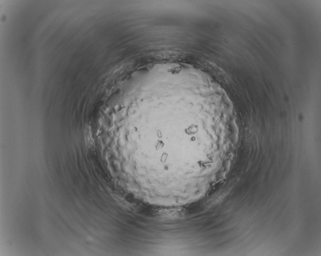 X0000068840089200605261651