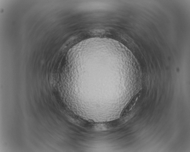 X0000068840091200605261651