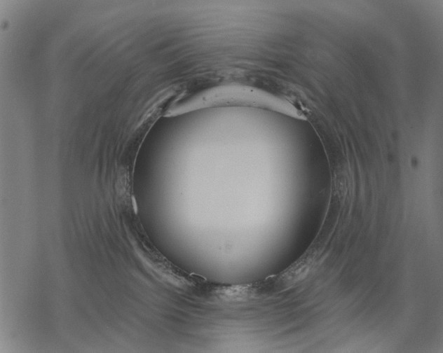 X0000068840092200605261651