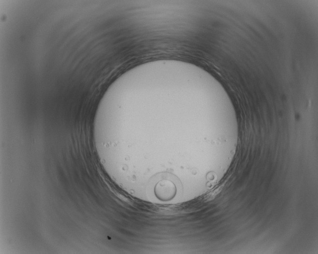 X0000068840093200605261651