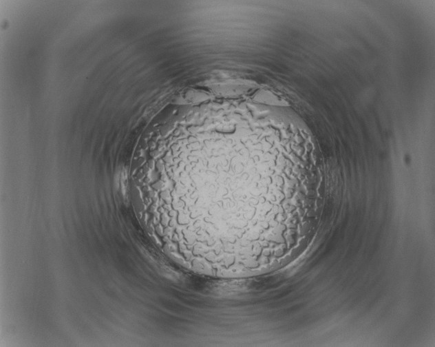 X0000068840094200605261651