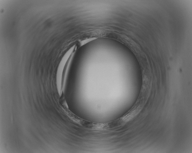 X0000068840096200605261651