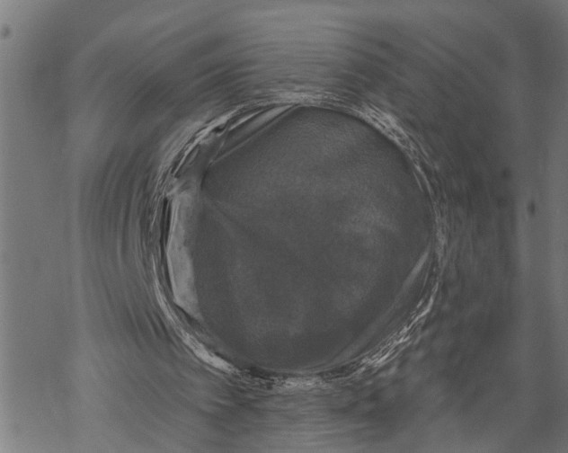 X0000068840097200605261650