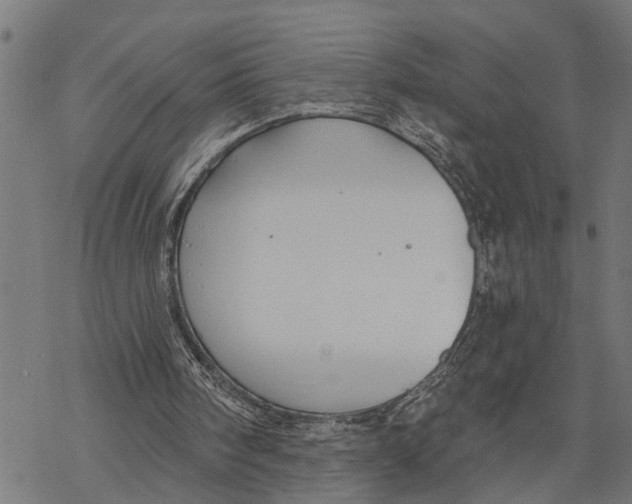 X0000068840098200605261650