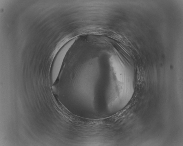 X0000068840099200605261650