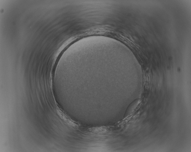 X0000068840100200605261650