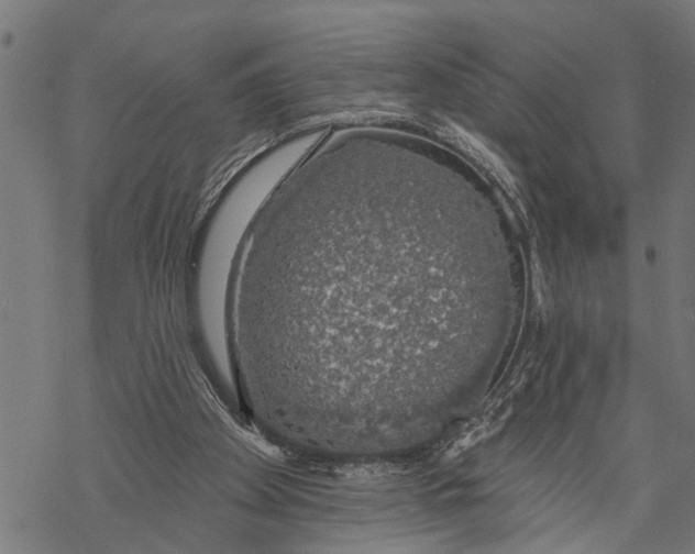 X0000068840105200605261650