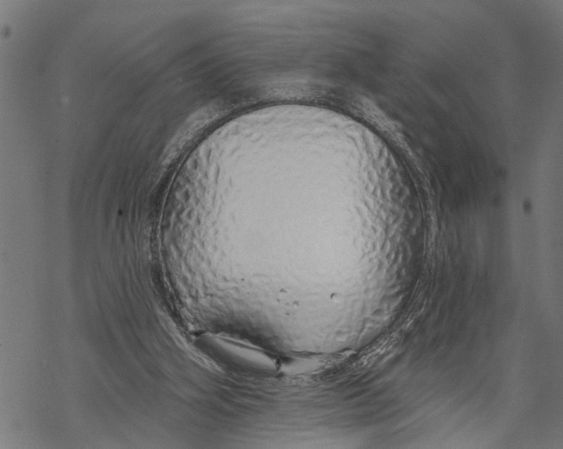 X0000068840106200605261650