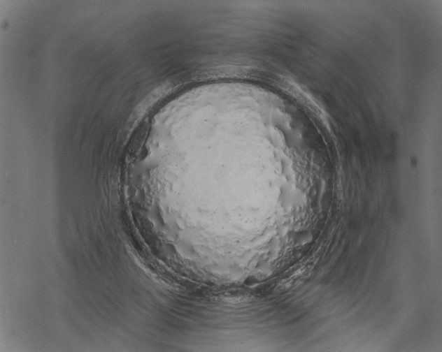 X0000068840107200605261650