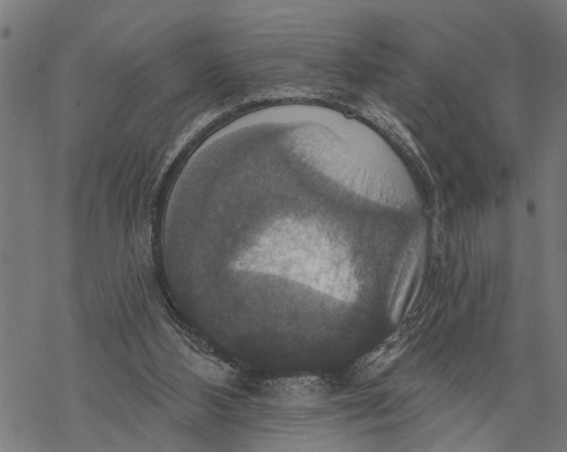 X0000068840108200605261650