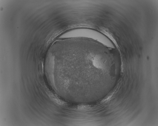 X0000068840109200605261650