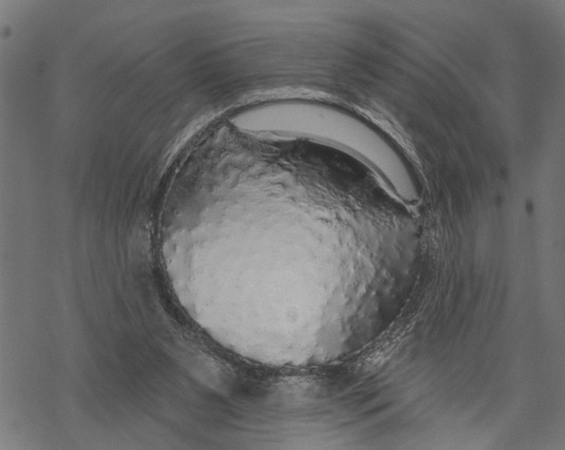 X0000068840111200605261650