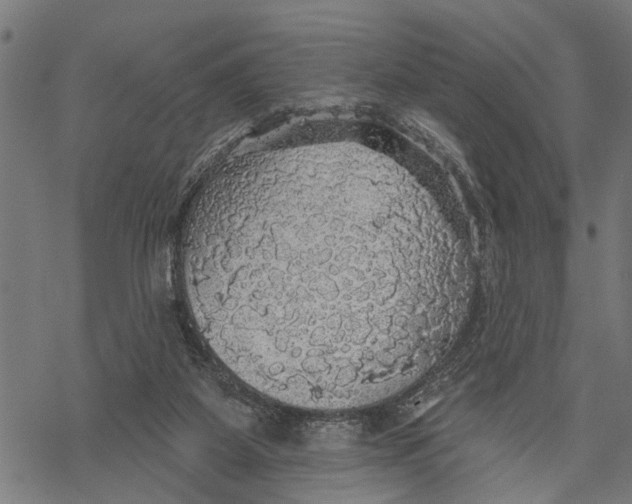 X0000068840115200605261650