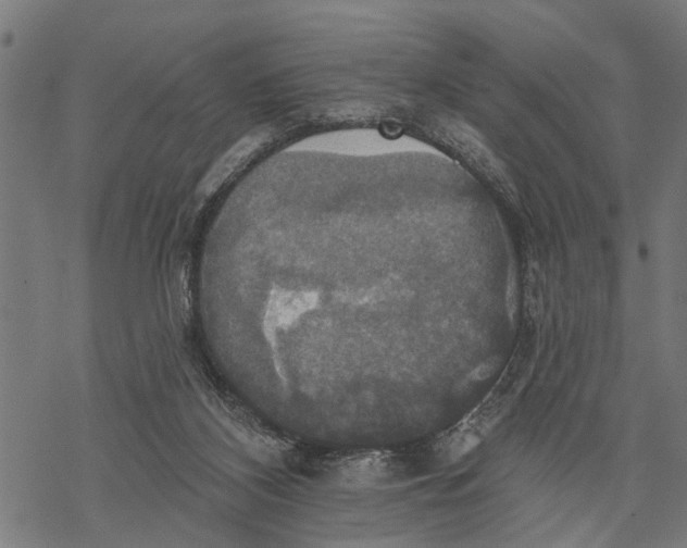 X0000068840116200605261650