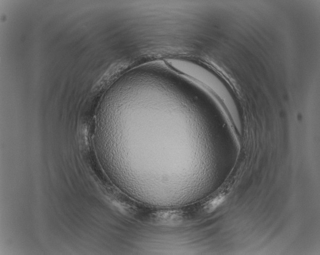 X0000068840117200605261650