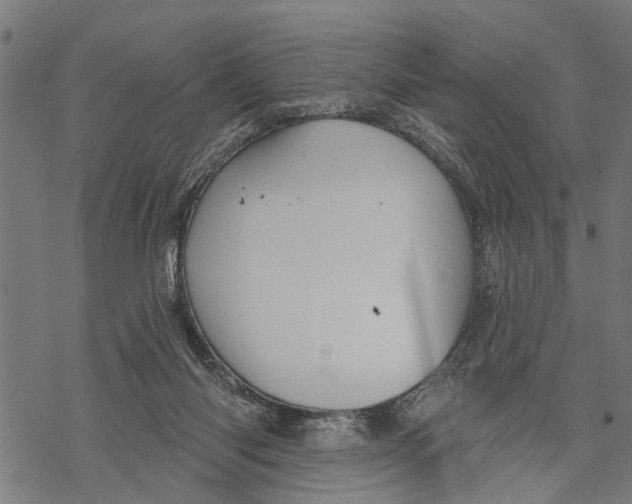 X0000068840118200605261650